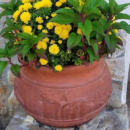 κορωνιδα Apartament