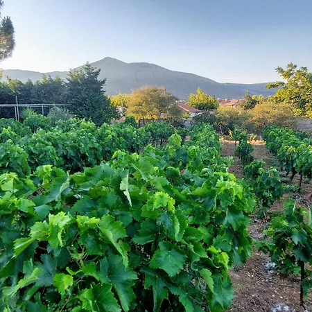 Apartament κορωνιδα *