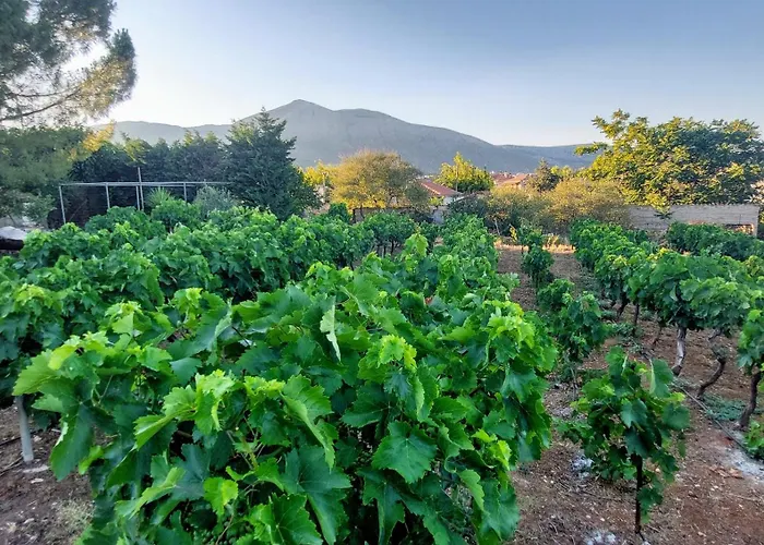 Apartmán κορωνιδα *